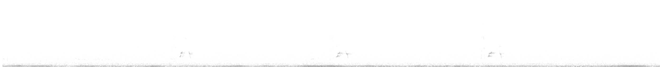 Морщинистоклювая ани - ML619287130