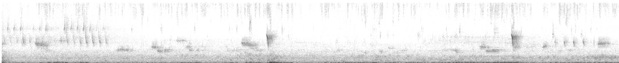 Weißbauch-Phoebetyrann - ML619288752