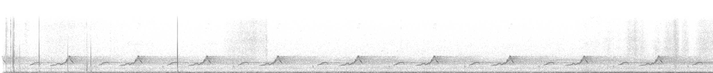 Schwarzkehl-Nachtschwalbe - ML619289451