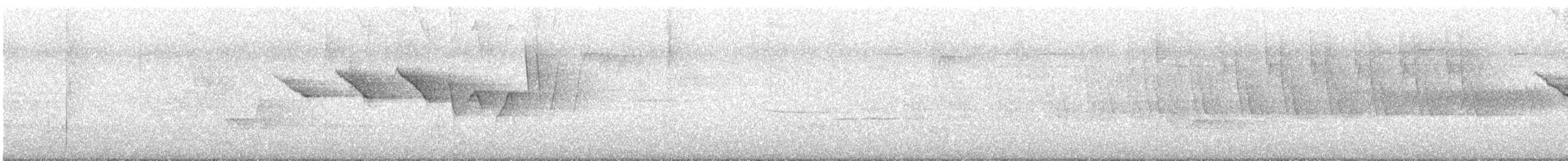 Трясогузковый певун - ML619291351
