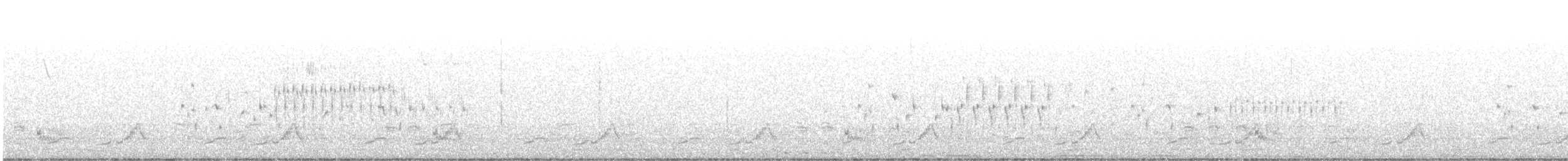 Schwarzkehl-Nachtschwalbe - ML619291464