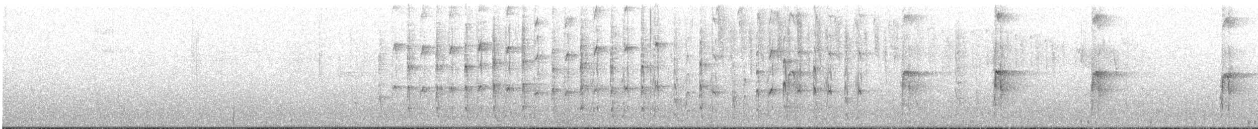 strakapoud americký - ML619293107