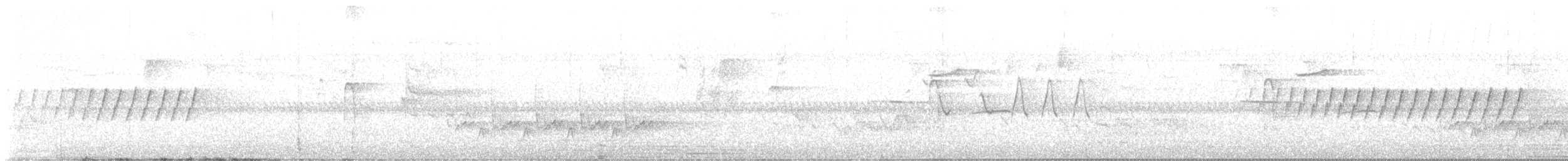 strakapoud americký - ML619294468