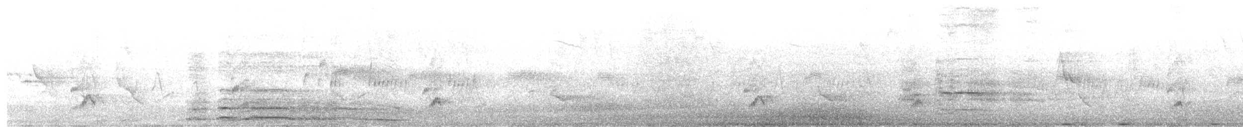 holub rezavokřídlý - ML619295576