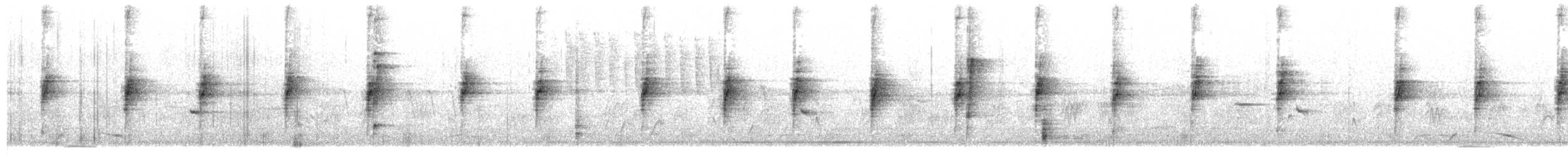 Bruant à couronne blanche (oriantha) - ML619296351
