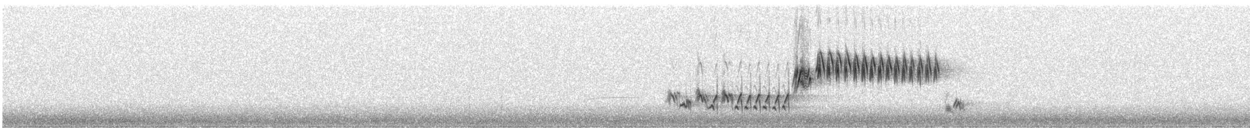 Lincoln's Sparrow - ML619296424