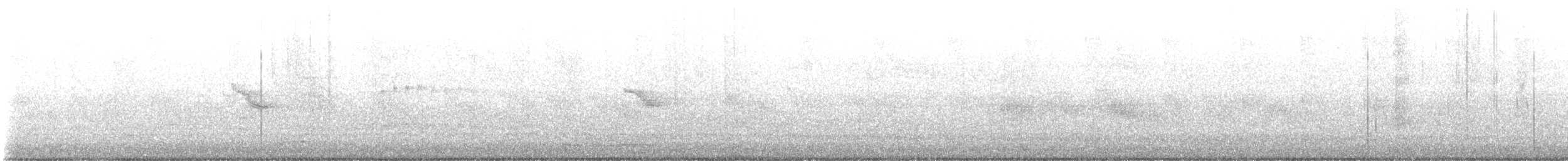 Пестрогорлый соловьиный дрозд - ML619296631