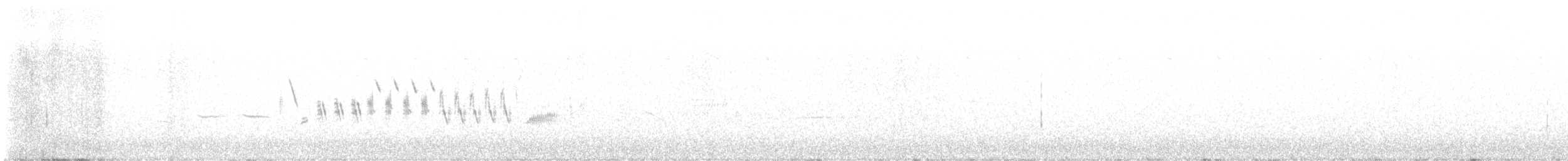 オジロヒメドリ - ML619296707