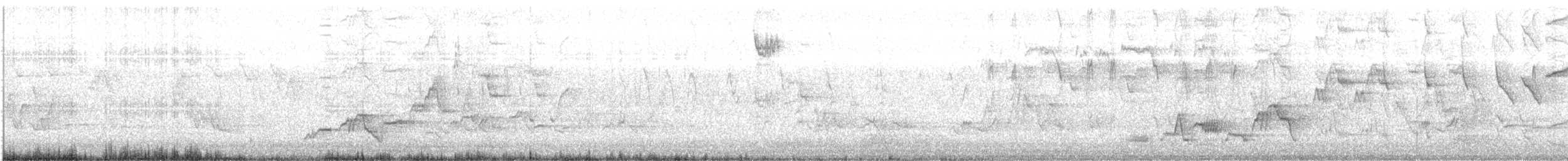 Дрізд-короткодзьоб Cвенсона - ML619297221