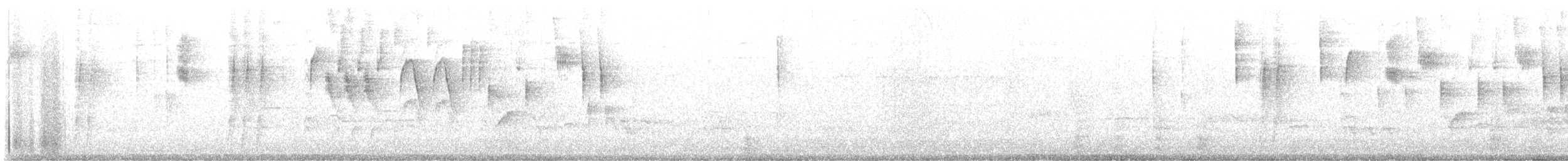 Юнко сірий (підвид hyemalis/carolinensis) - ML619298870