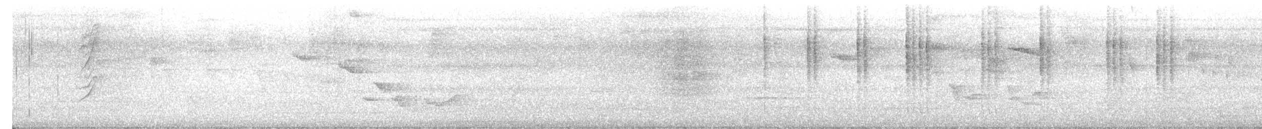 Зернолуск великий - ML619299050