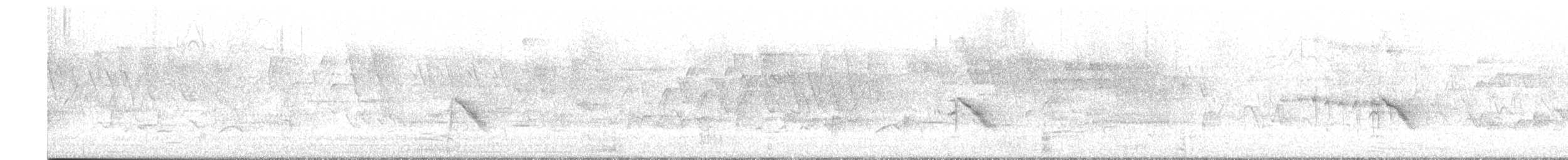 Дрізд-короткодзьоб малий - ML619299247