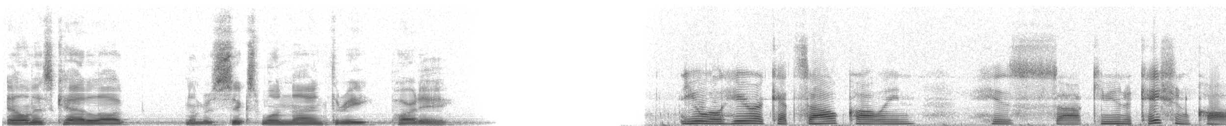 kvesal chocholatý (ssp. mocinno) - ML6193