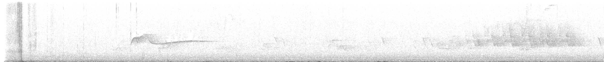 雑種 キンバネアメリカムシクイ ｘ アオバネアメリカムシクイ - ML619301225