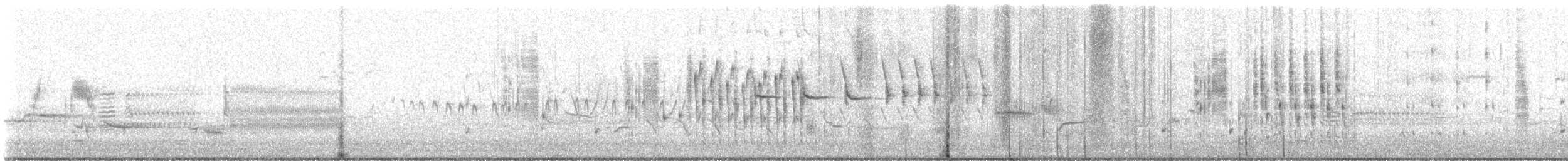 Troglodyte des marais - ML619301407