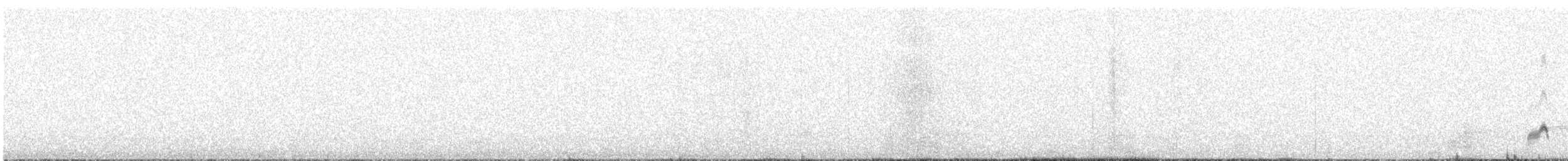 Eurasian Nightjar - ML619303374