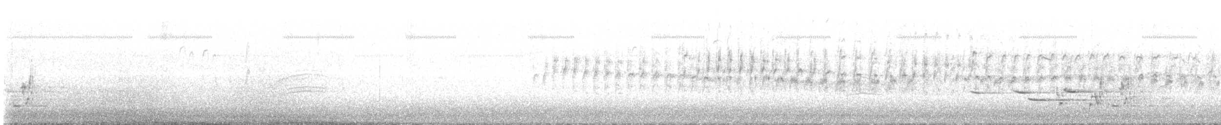 Weißbrustsegler - ML619303776