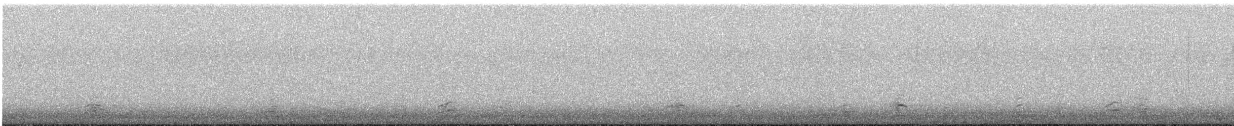 Cackling Goose - ML619304851