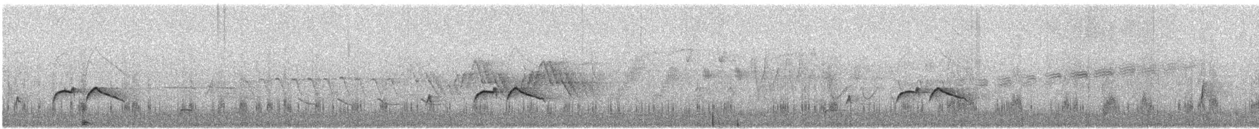 Olivflanken-Schnäppertyrann - ML619305175