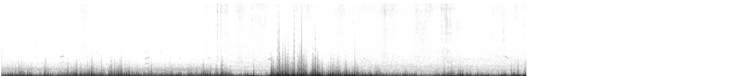 Échasse blanche - ML619305854
