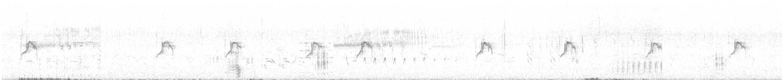 ニシツメナガセキレイ（iberiae） - ML619305976