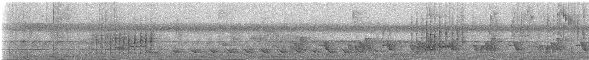 Белоухий крапивник - ML619306393