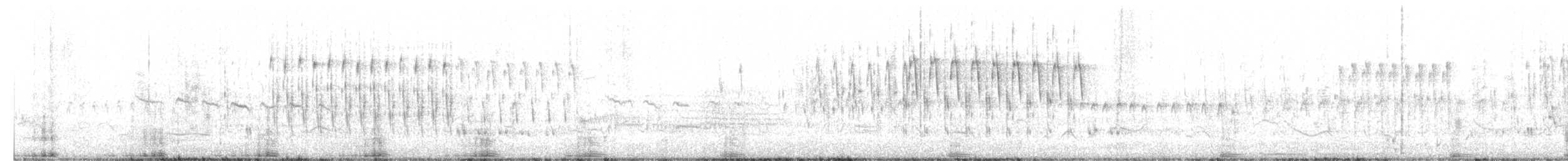Troglodyte des marais - ML619306485