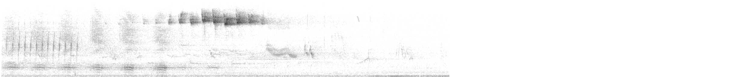 Blackpoll Warbler - ML619306989