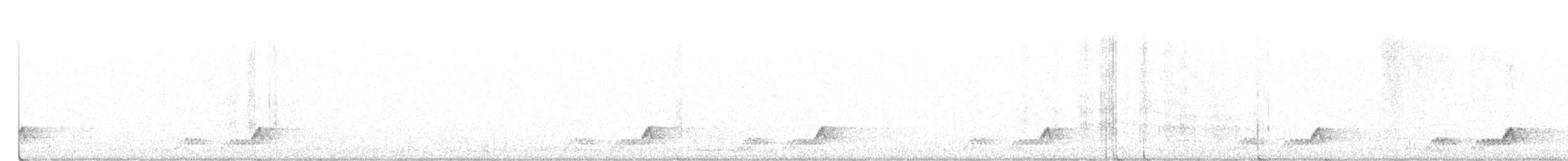 Mexikonachtschwalbe - ML619307477