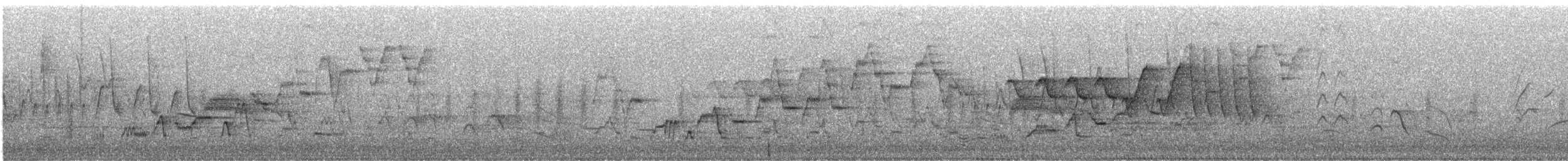 Дрізд-короткодзьоб Cвенсона - ML619309047