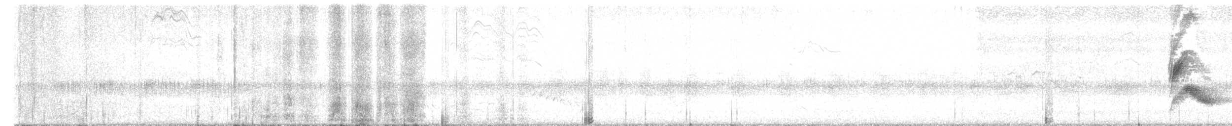 Bicknell's Thrush - ML619311164