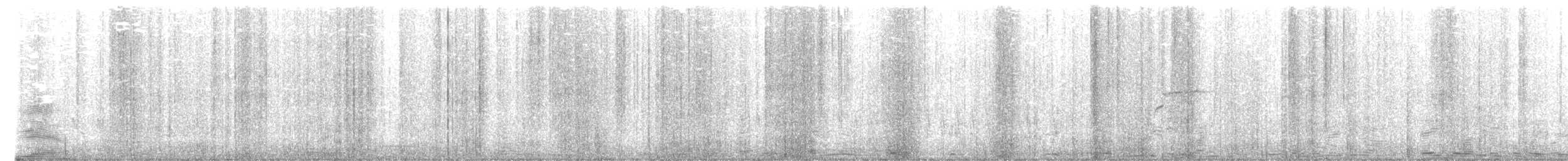 Тиранчик-тонкодзьоб південний - ML619311321
