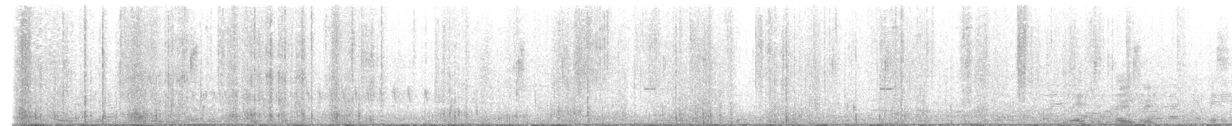 Тиранчик-тонкодзьоб південний - ML619311322