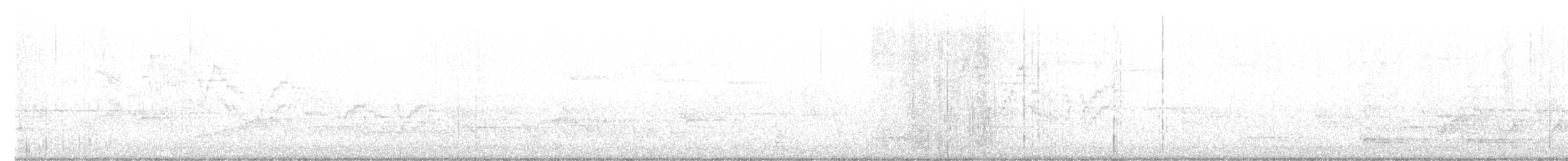 Дрізд-короткодзьоб канадський - ML619312463