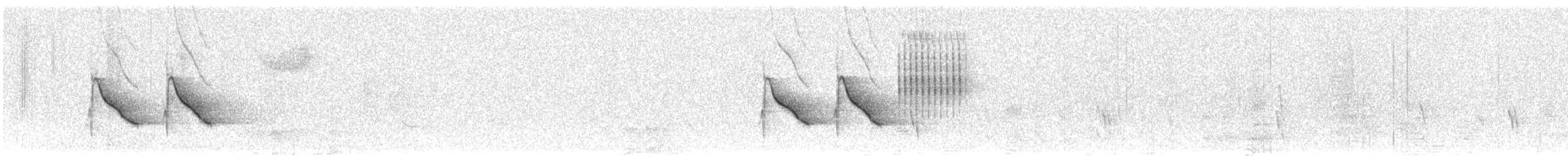 Tohi tacheté (macronyx) - ML619312965