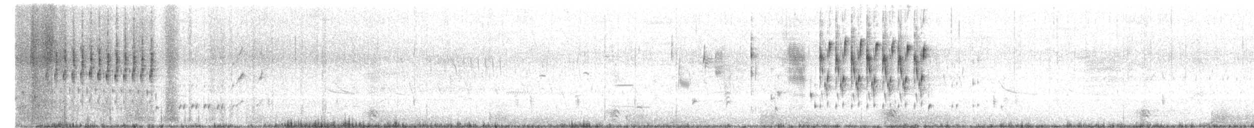 Troglodyte des marais - ML619315084