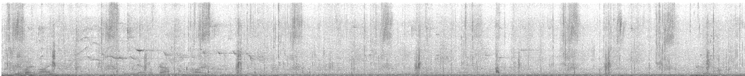Kara Karınlı Islıkçı Ördek - ML619316825
