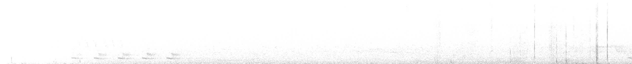 Trogon élégant - ML619317471