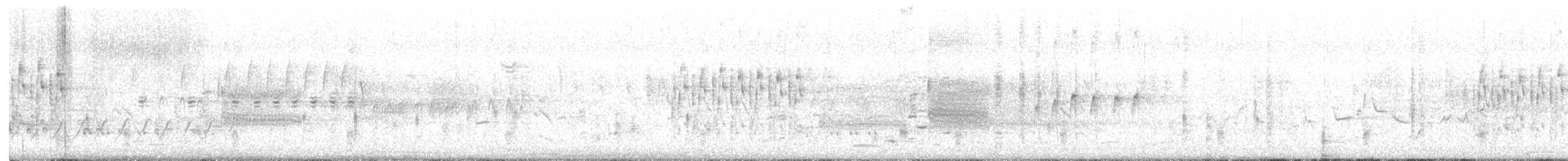 Troglodyte des marais - ML619318135