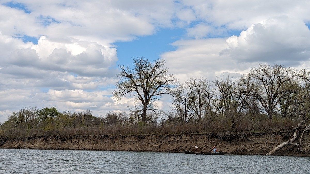 Bald Eagle - Bryan Sarauer