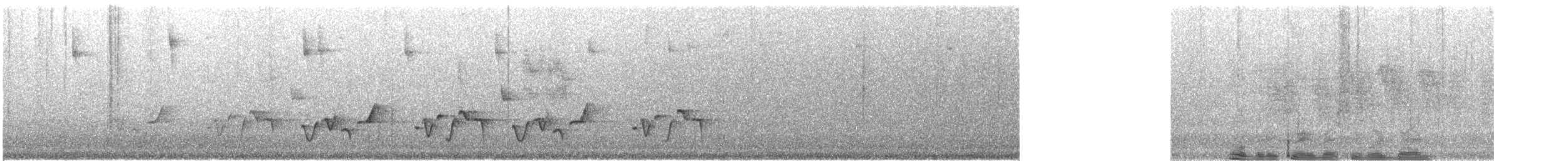 Серогрудый крапивник - ML619320286