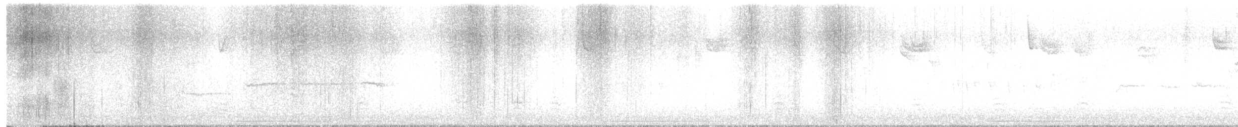 Дрізд-короткодзьоб Cвенсона - ML619320351