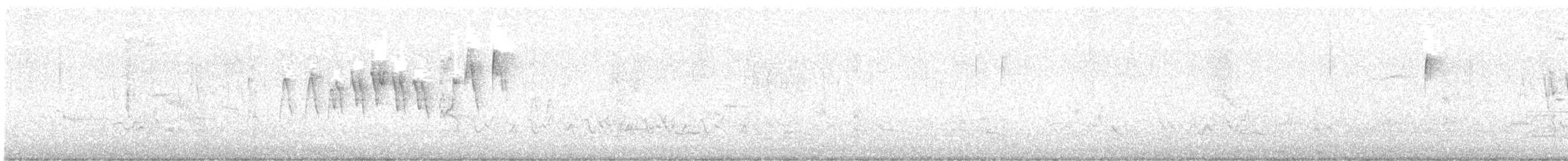 Paruline à calotte noire - ML619320442