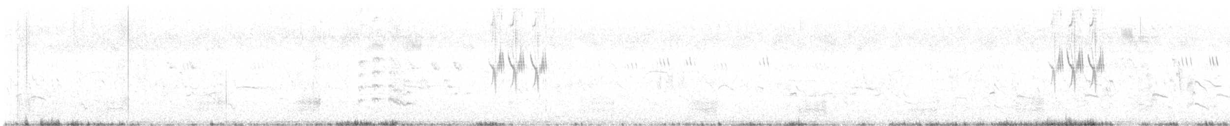 Little Ringed Plover - ML619321515