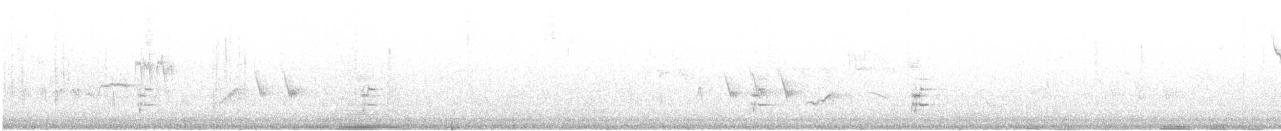 tøylesolitærtrost - ML619321734