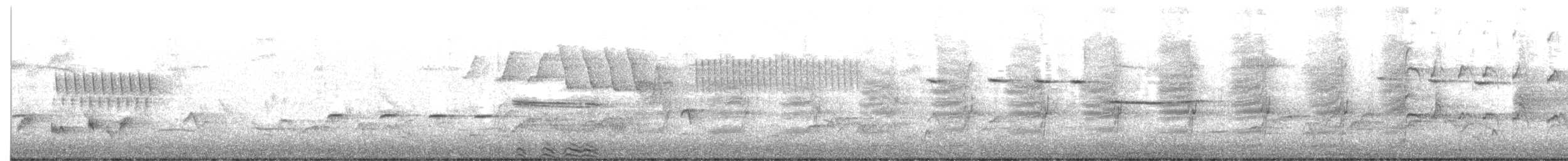 pygmérørdrum - ML619322715