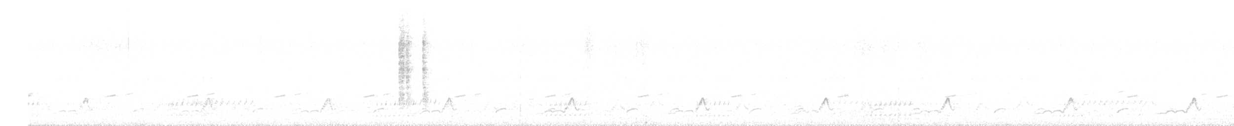 Schwarzkehl-Nachtschwalbe - ML619322875