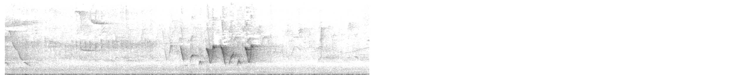 Paruline à gorge grise - ML619323760