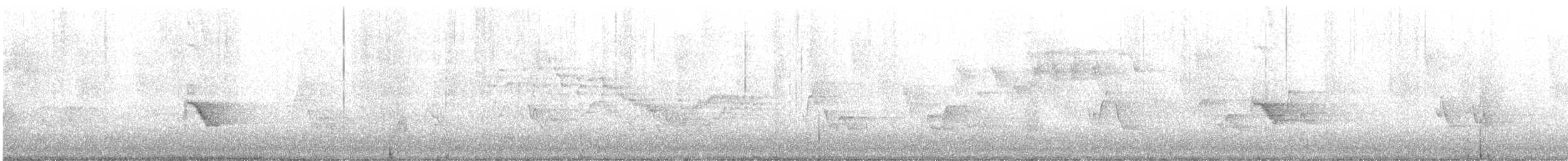 Дрізд-короткодзьоб канадський - ML619324757