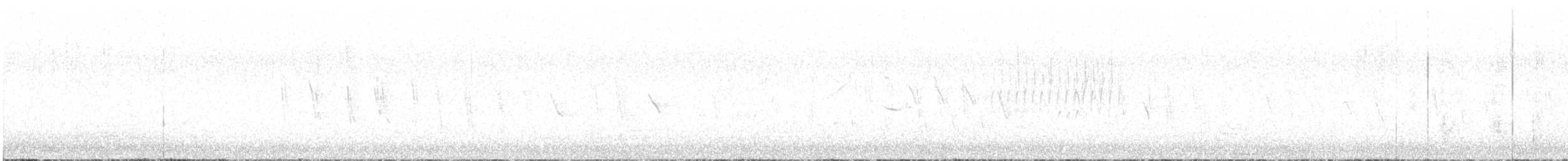 Білозорка фіолетова - ML619325405